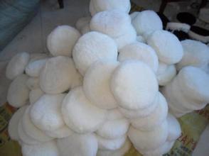 wool buffing pads