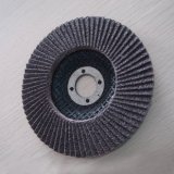 Flap Discs