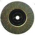 Flap Disc with Screw Backing