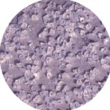 Aluminum Oxide Micro-Powder  (WA/WO series)