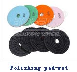 Polishing pad-wet