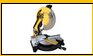 J1X-YM-355 1440  MITER SAW