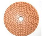 Flexible polishing pad  X0601)