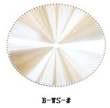 Diamond Saw Blades B-WS-#