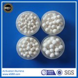 High Density Alumina Balls   004