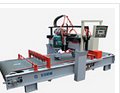 Full-automatic Litchi Surface Machine