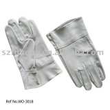 Hand Protect Glove