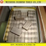 New Products Diamond Stone Granite Cutting Segments In Tools