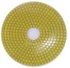 Diamond Polishing Pads