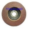 Abrasive Flap Disc