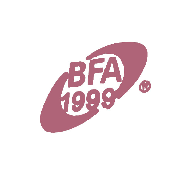 Brown Fused Alumina - Shengyu