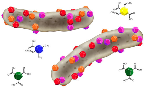 The colored particles display different types of nanodiamonds that bind to bacterial cells (grey) and kill them.